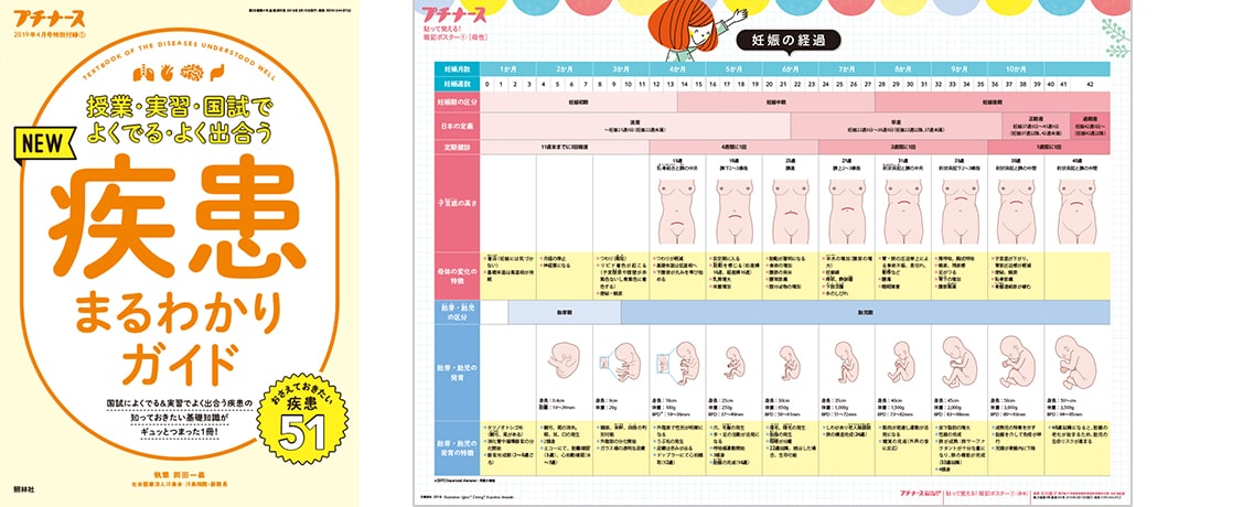 プチナース 2019年4月号 フロク