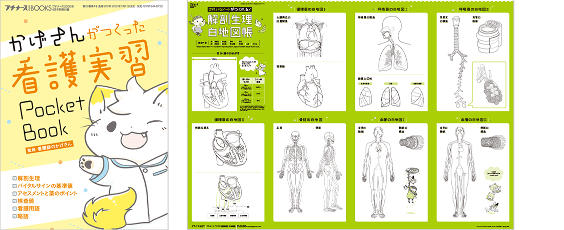 プチナース 2020年4月号 フロク