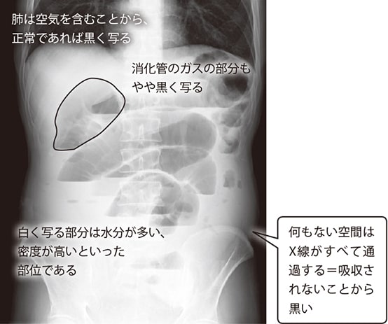 国試教室画像