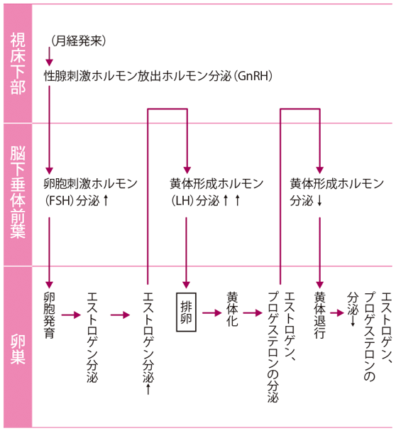 国試教室画像