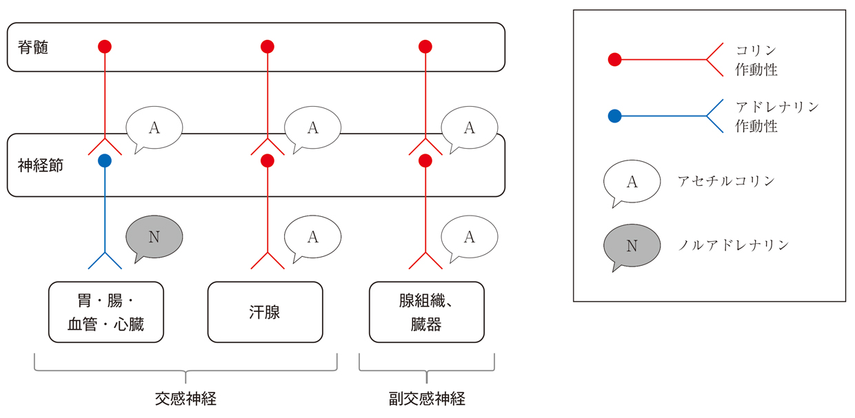 必修予想問題画像