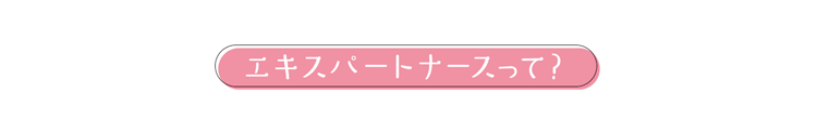 エキスパートナースって？