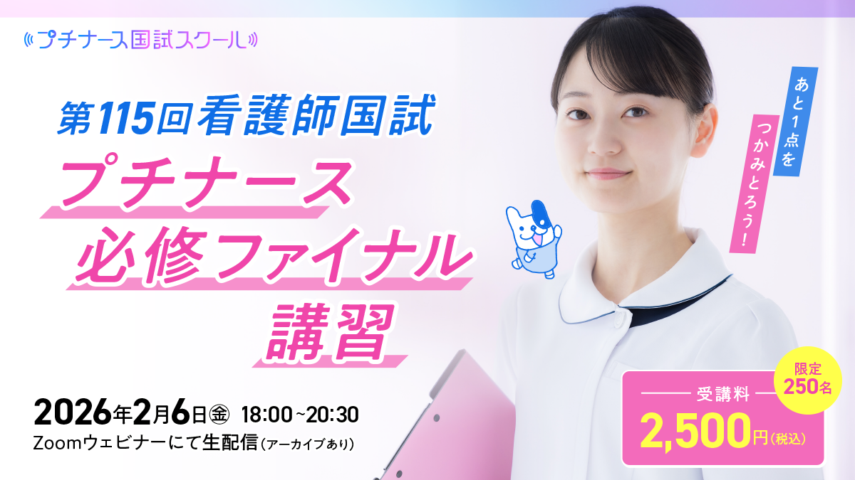 プチナース 必修 プチナース 必修ファイナル講習 | プチナースWEB