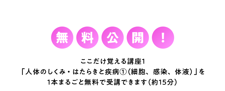 無料公開！