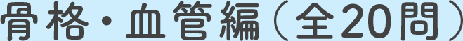 血管・骨格編（全20問）