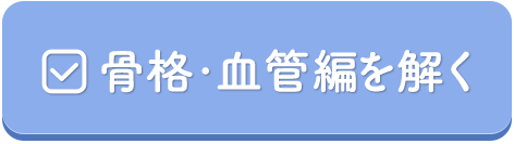 骨格・血管編を解く