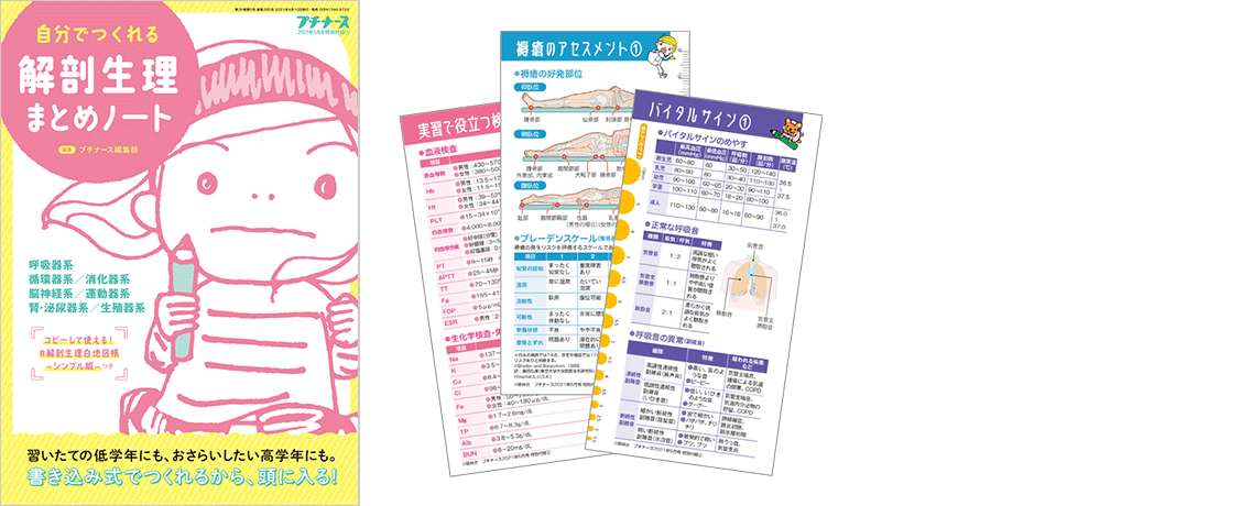 プチナース 2021年5月号 フロク