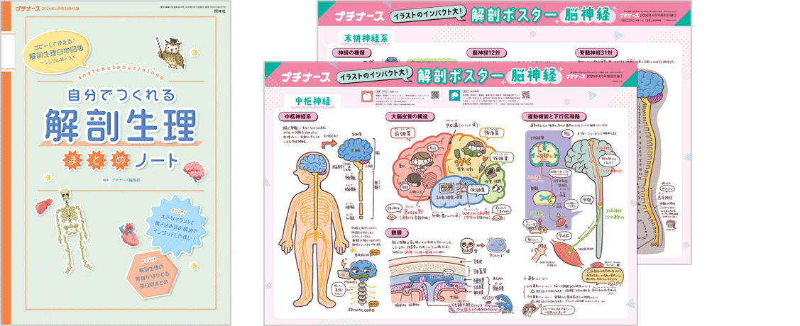 プチナース 2026年4月号 フロク