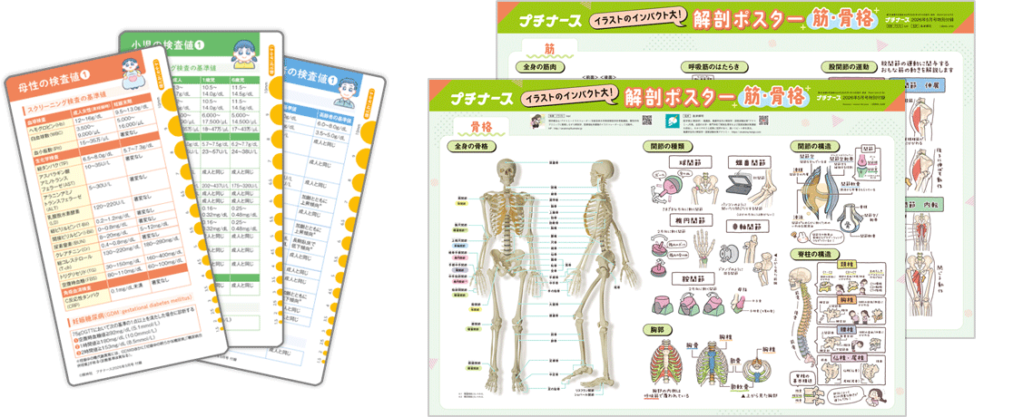 プチナース 2026年5月号 フロク