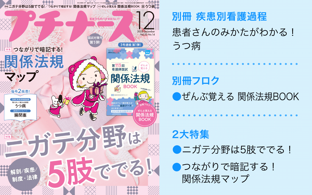 プチナース最新号
